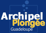 Plonge Guadeloupe