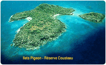 Rserve Cousteau