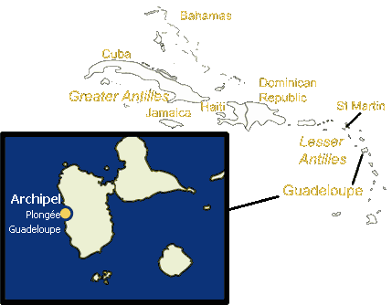 Achipel plonge Guadeloupe